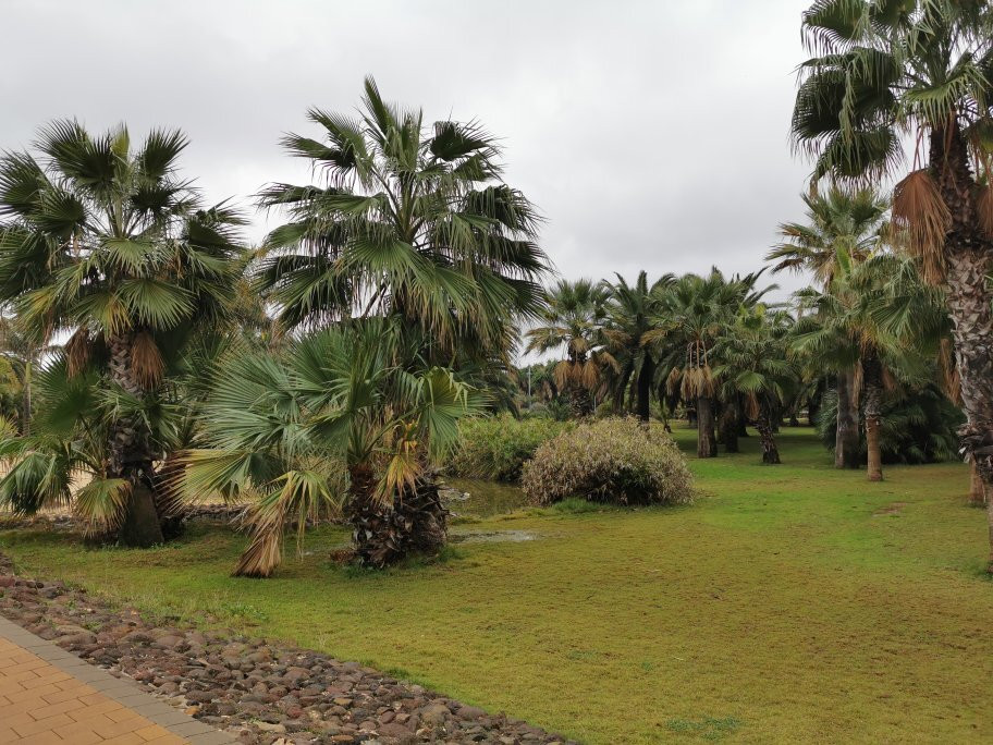 Parque Forestal Juan Carlos I-梅利利亚必去景点