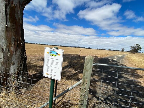 Arapiles Big Sky Bicycle Trail景点图片