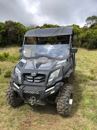 Bugg's Buggy 974景点图片