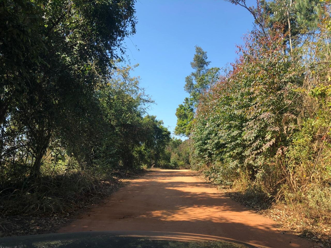 Lind End Guest Farm主图