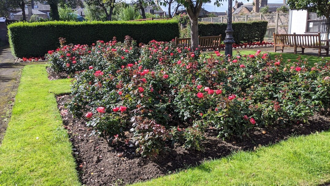 Girvan Community Garden