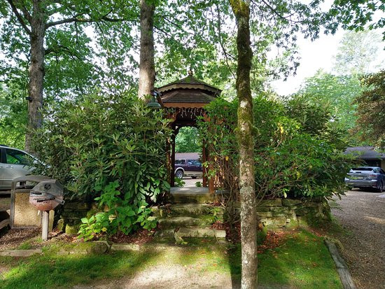 The Wells Cashiers主图