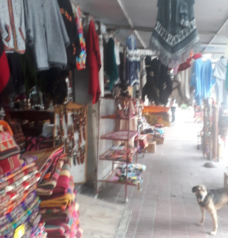 Mercado Artesanal Tradicional景点图片