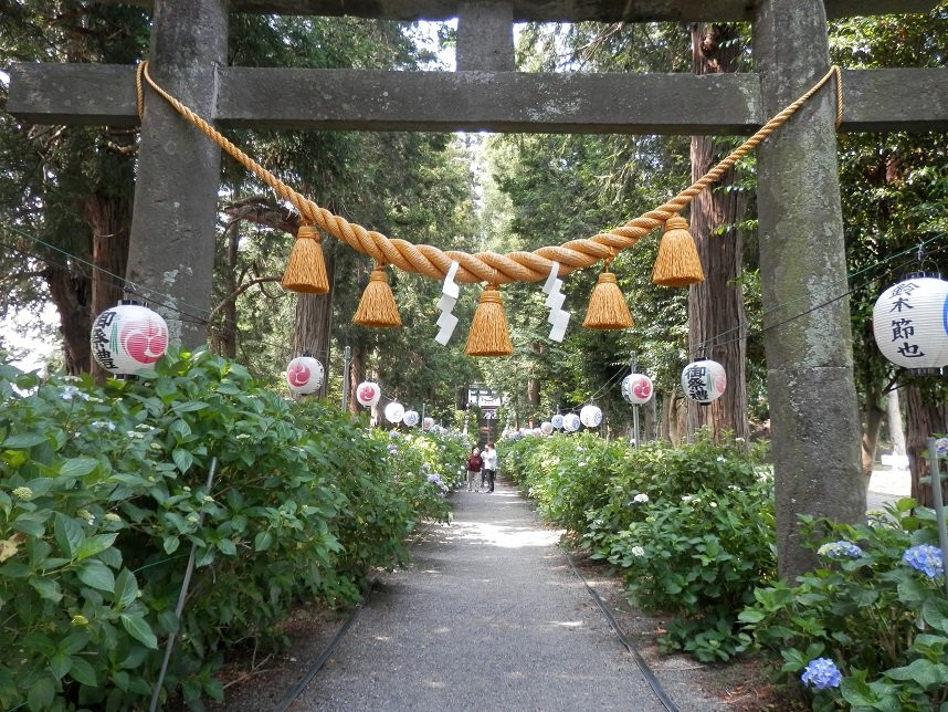 Isoyama Shrine景点图片