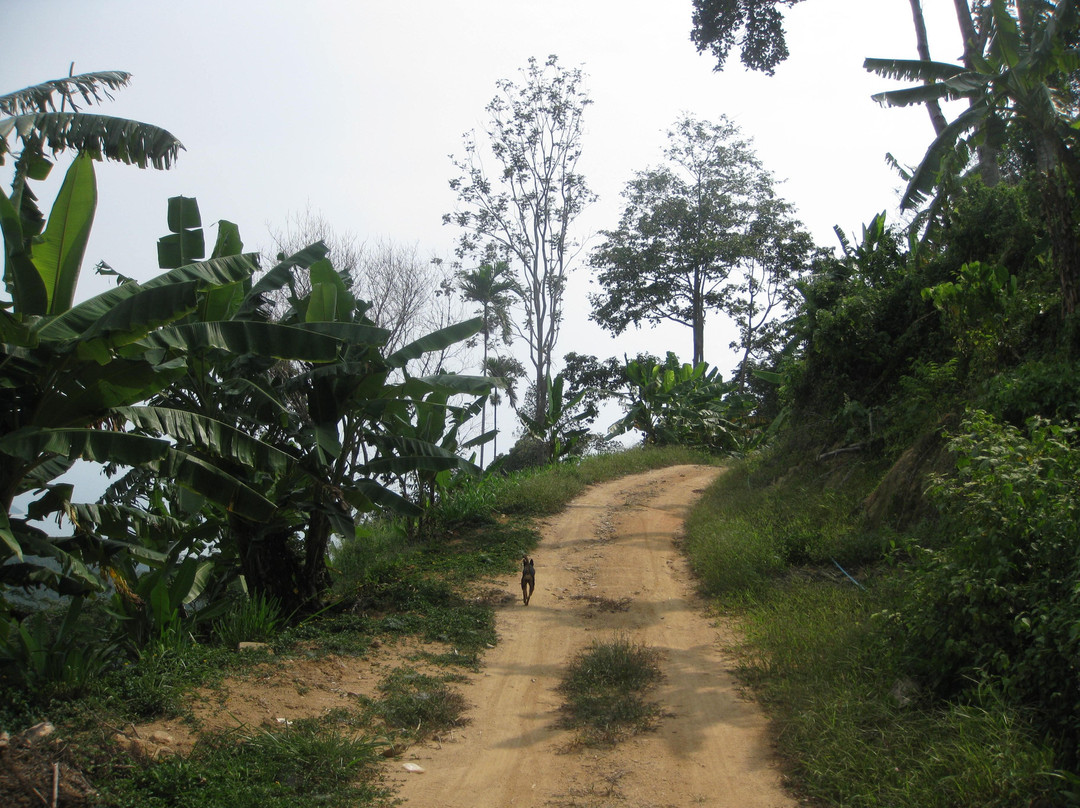 Hiking on Samui - Day Tours景点图片