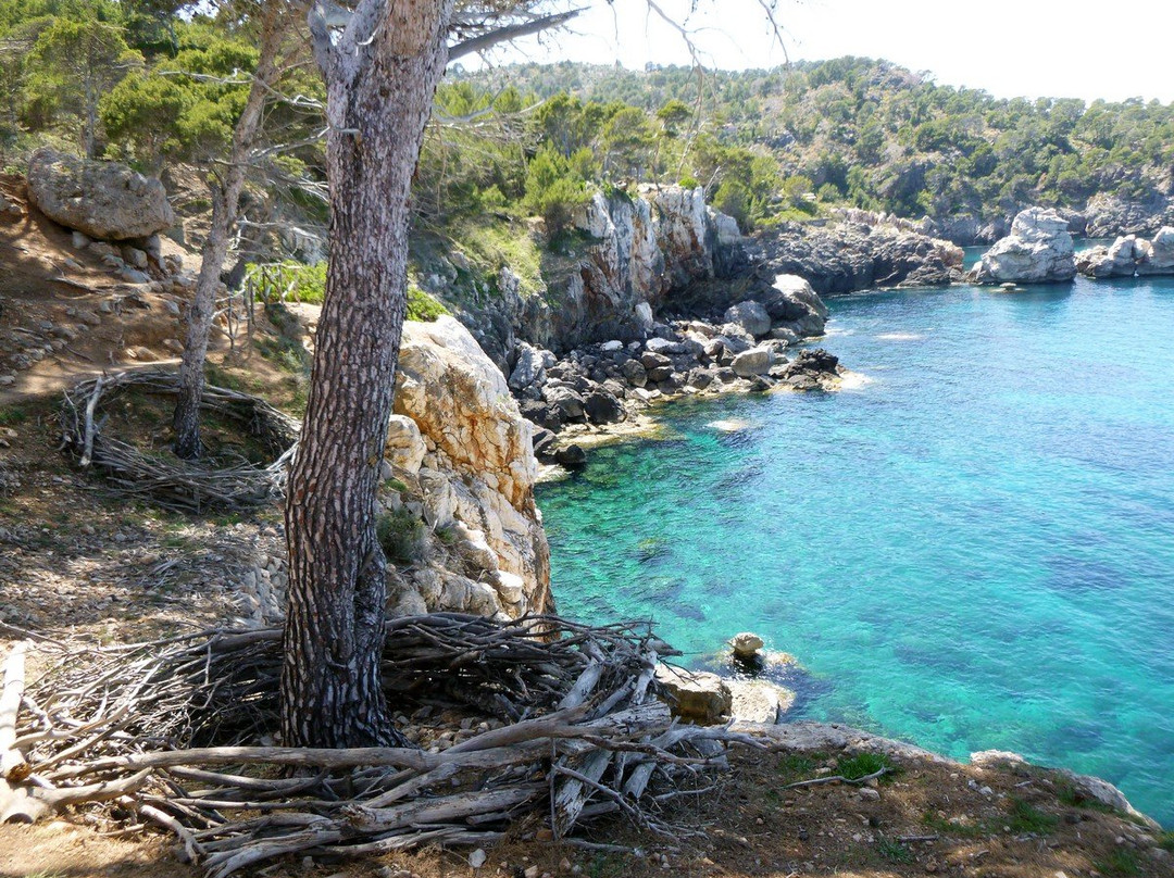Adventurers Mallorca景点图片