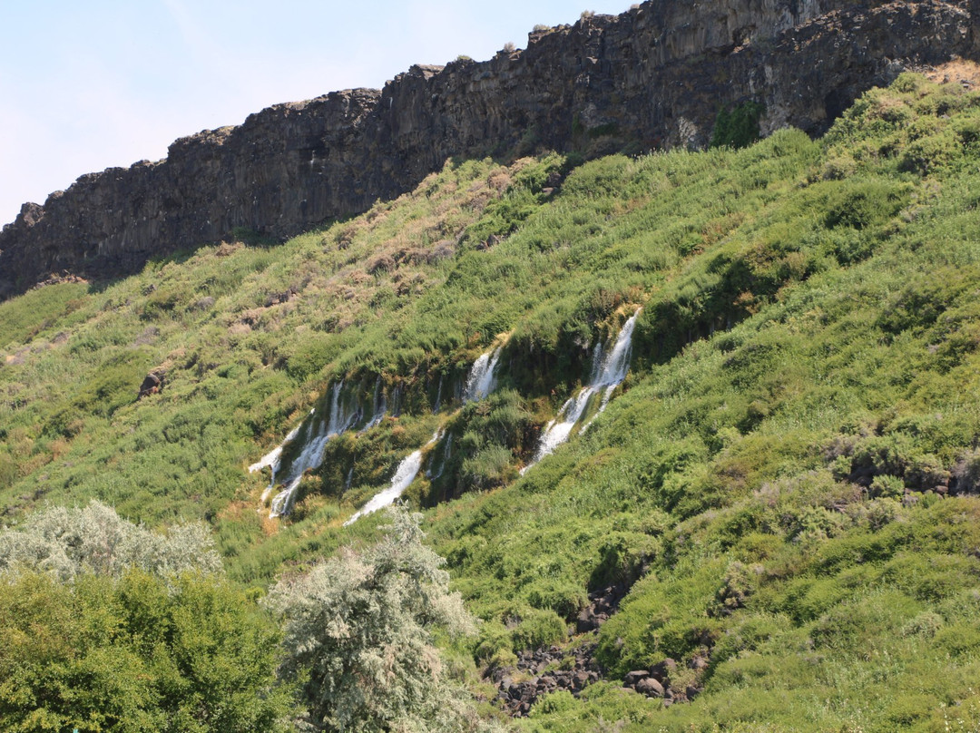 Wendell旅游景点-Ritter Island State Park