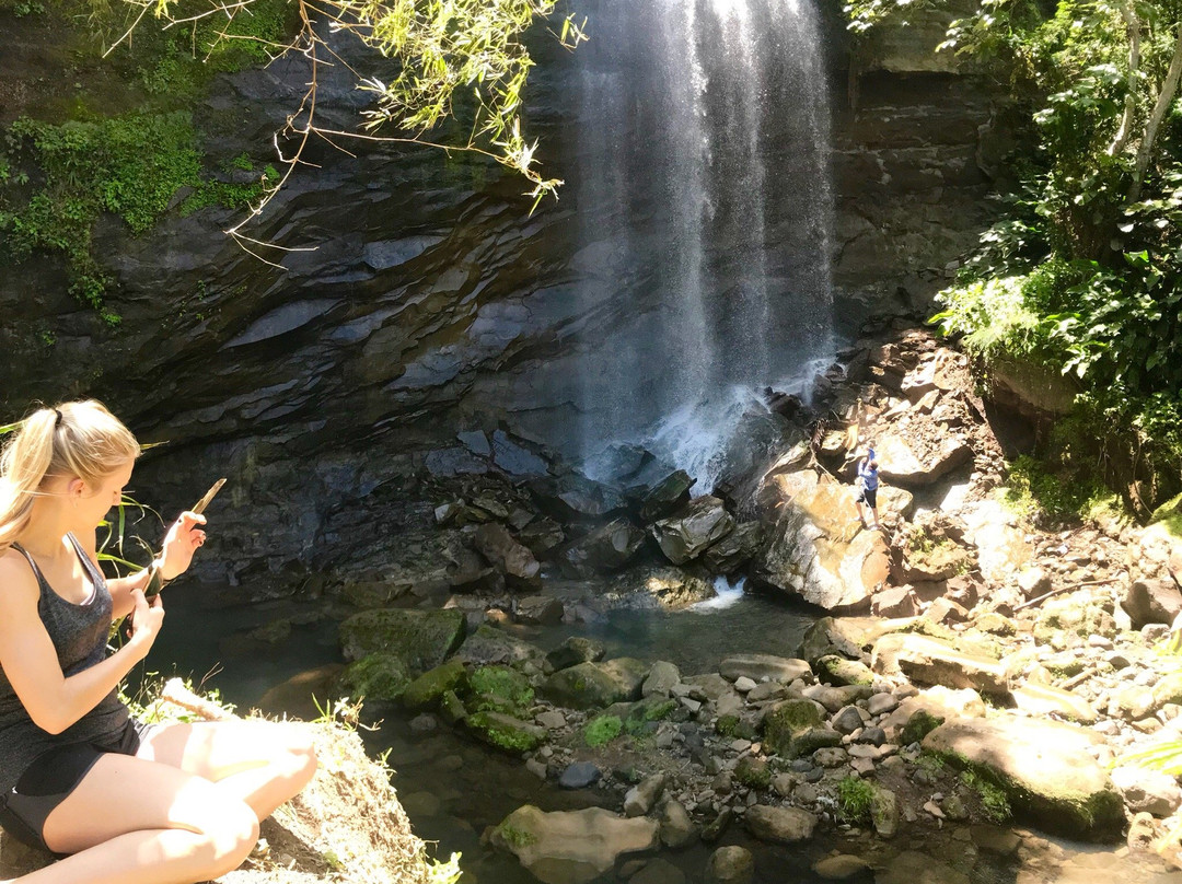 Ace Ventura Taxi & Tours-St. George's必去景点