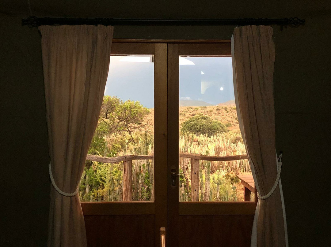 Koffylaagte Game Lodge