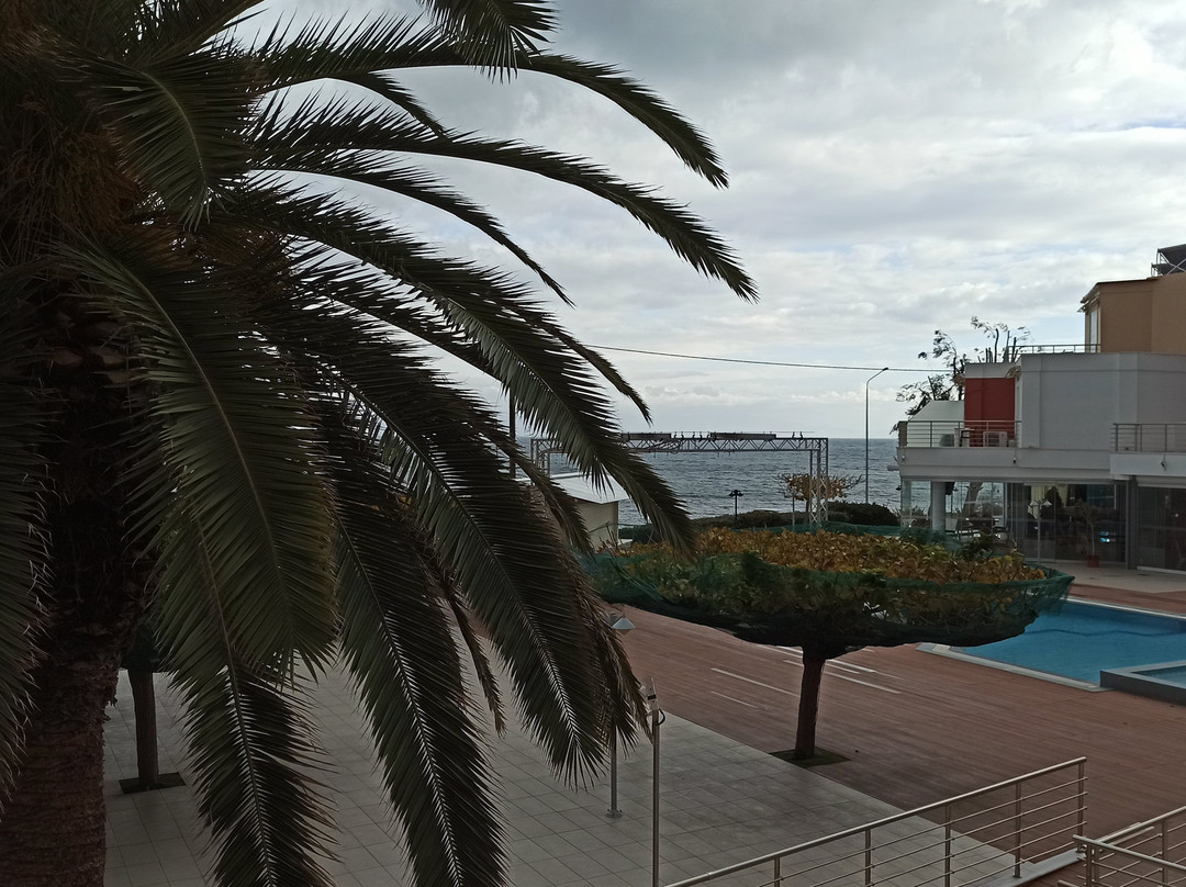 Heliotrope Hotels主图