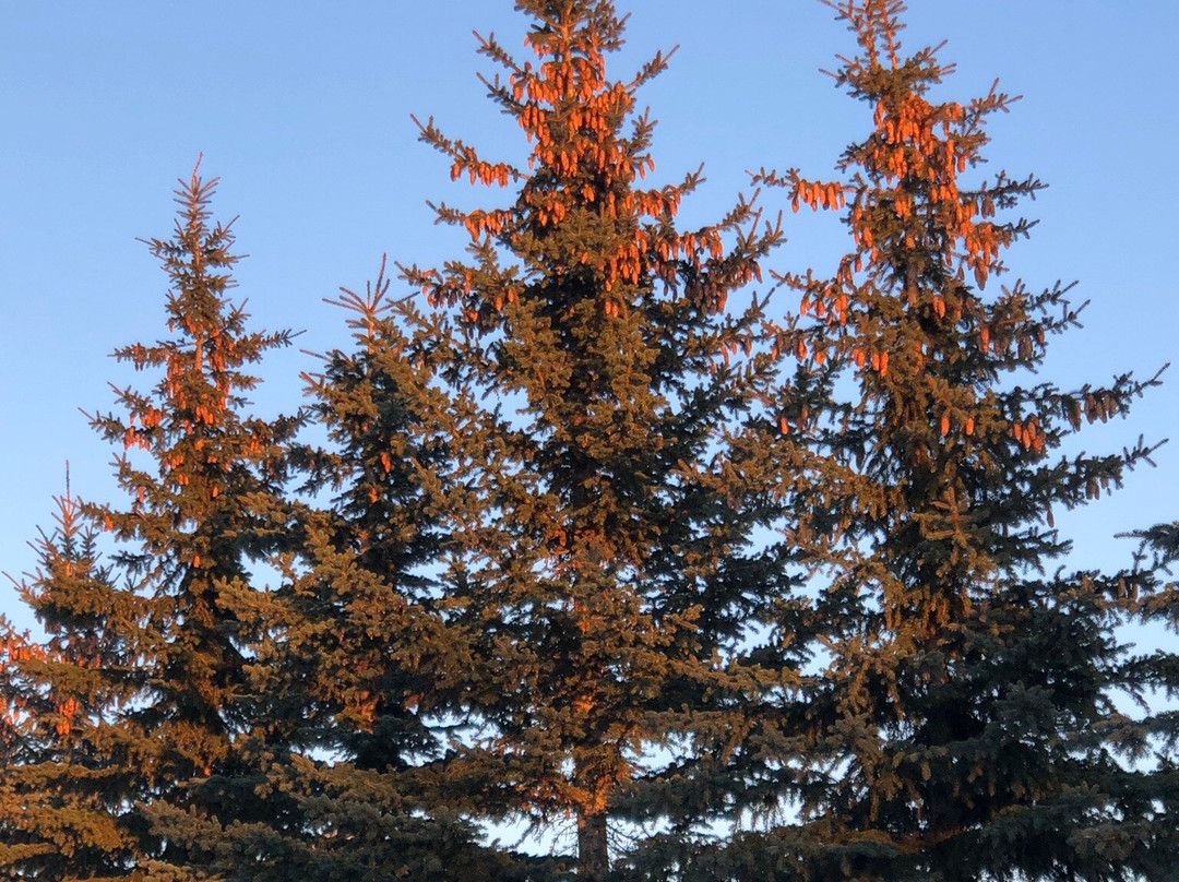 Shosha旅游攻略图片