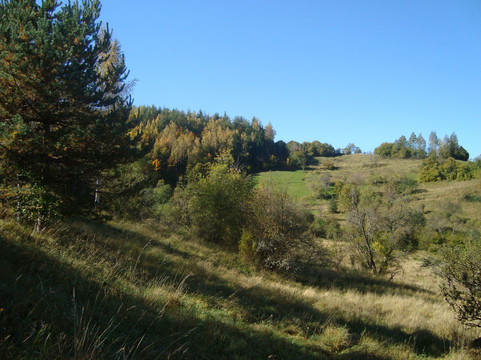 Gudevitsa旅游攻略图片