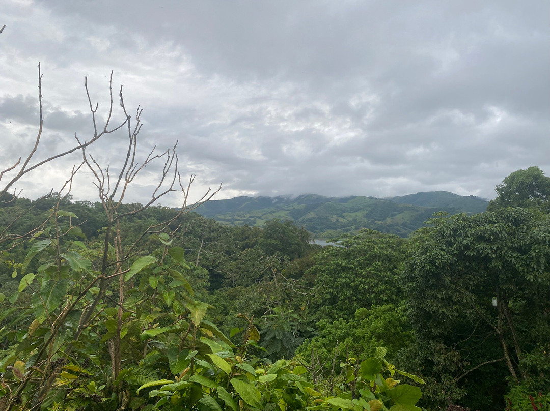 Toucan Lane Restauant