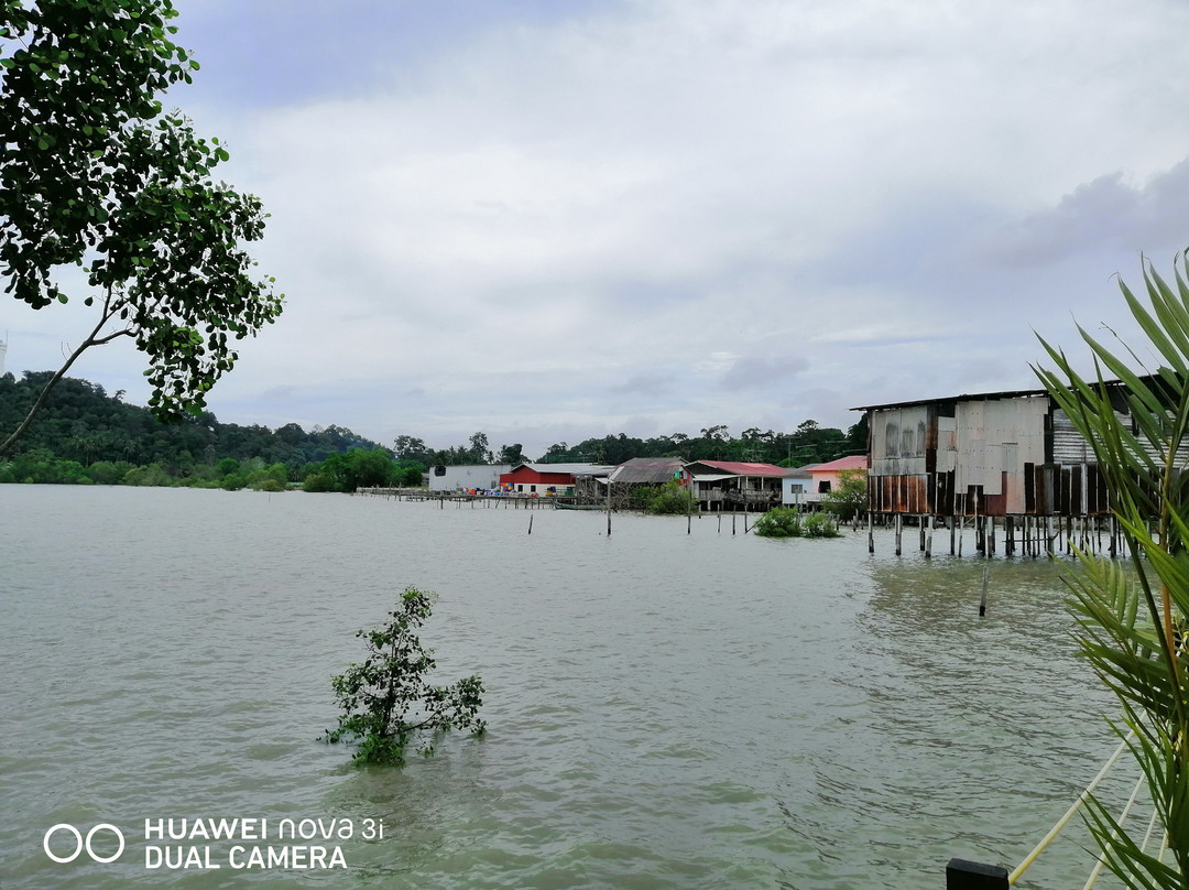 Pantai Minyak Beku (Frozen Oil village)景点图片