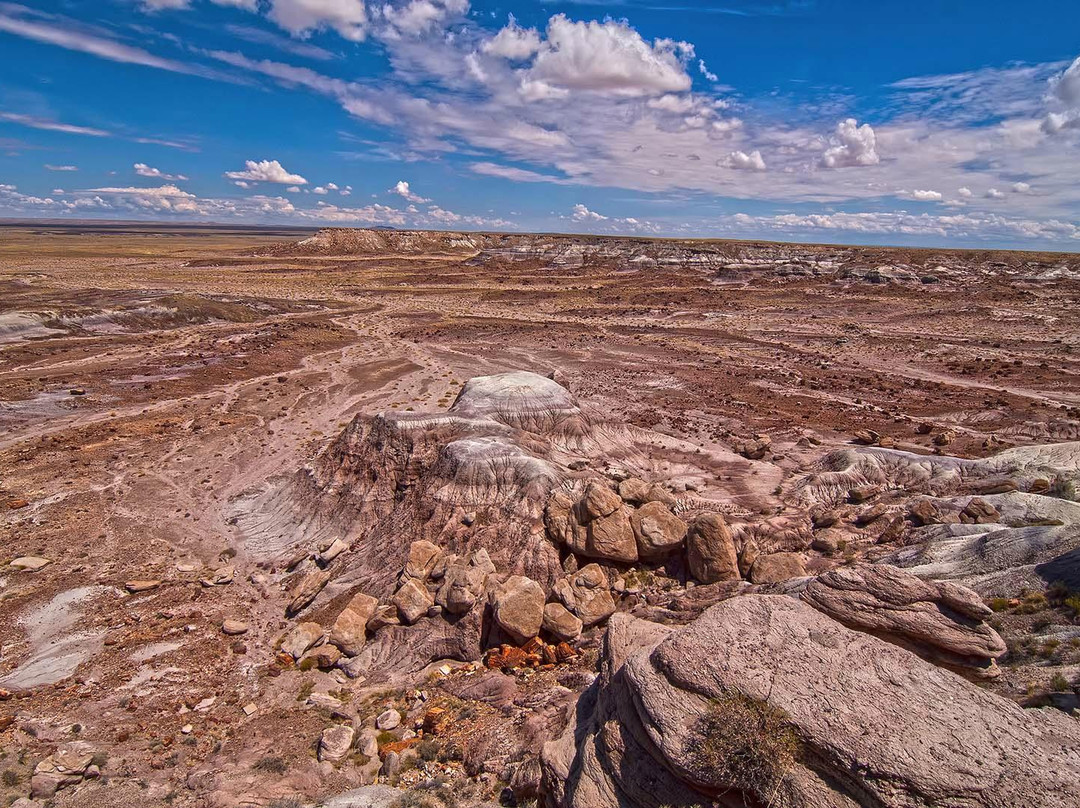 Jasper Forest景点图片