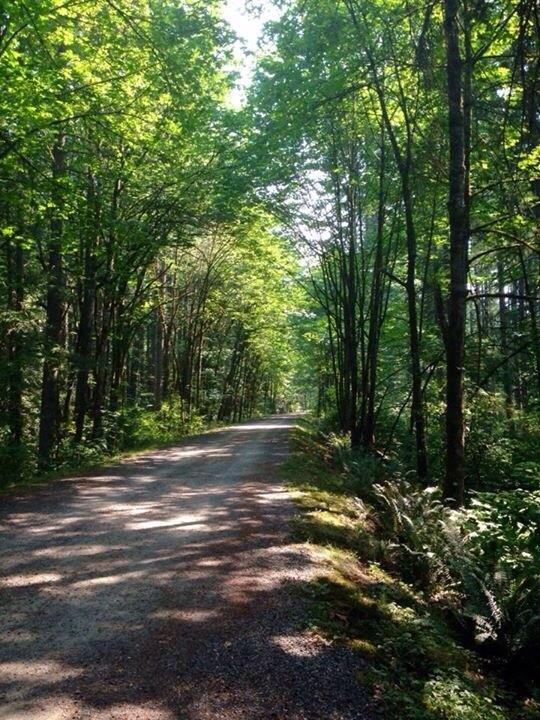 Maple Valley旅游景点-Lake Wilderness Arboretum