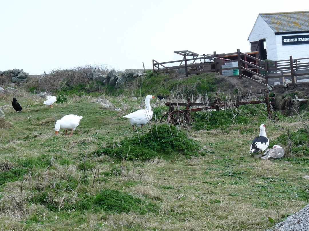 Sennen Cove旅游攻略图片