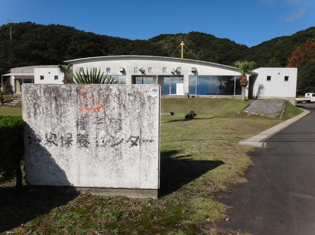 Nakatanecho Onsen Hoyo Center景点图片