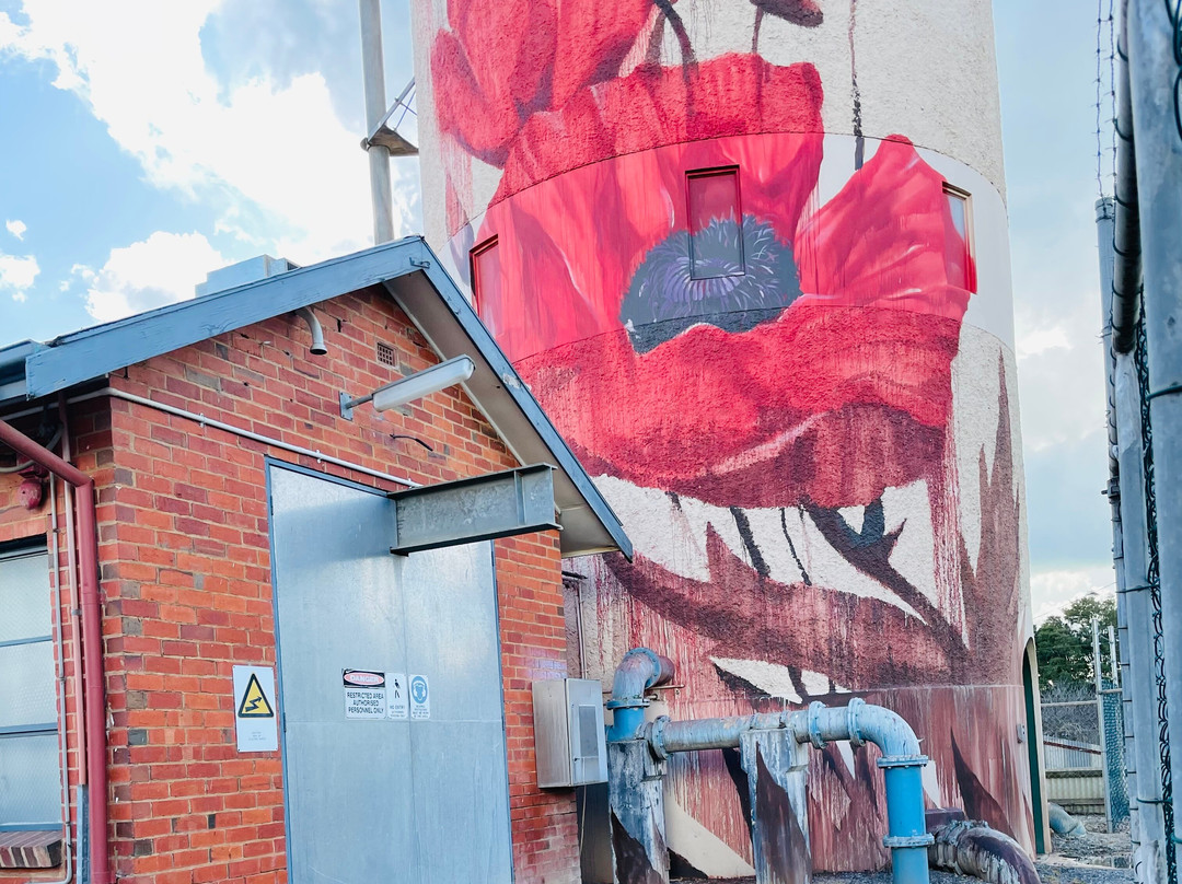 Tatura Water Tower Art景点图片