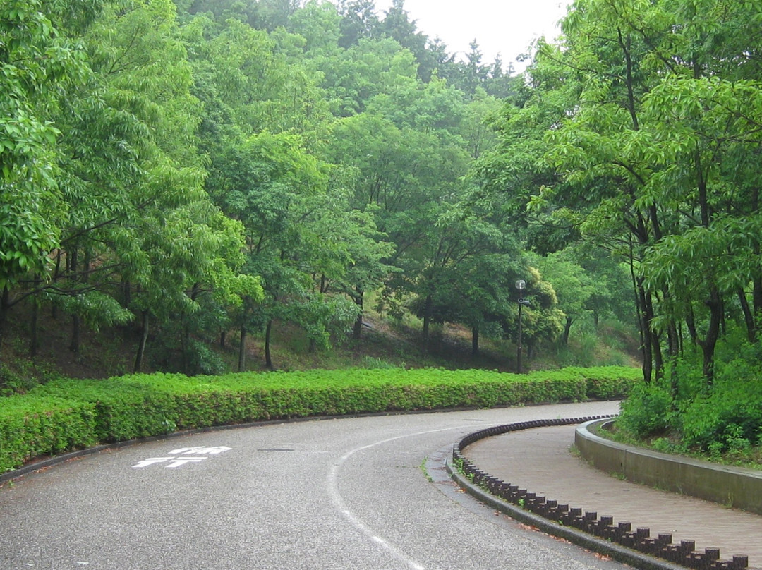 Hagitani Sogo Park景点图片