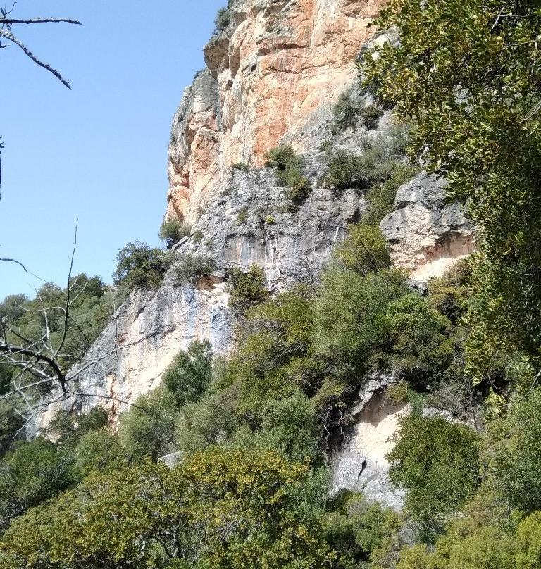 Sendero La Garganta Verde景点图片