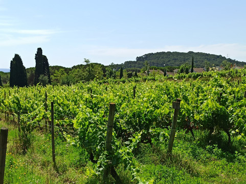 Brugarol Experiencias S.L.