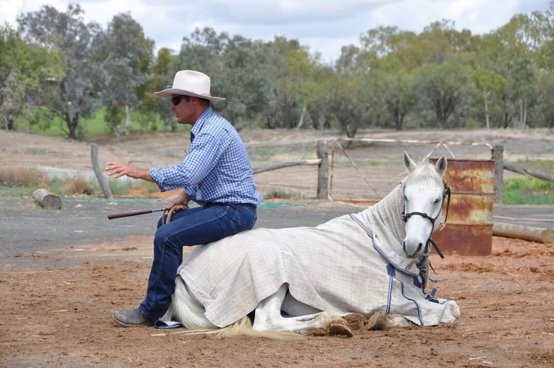 Outback Stockman Show景点图片