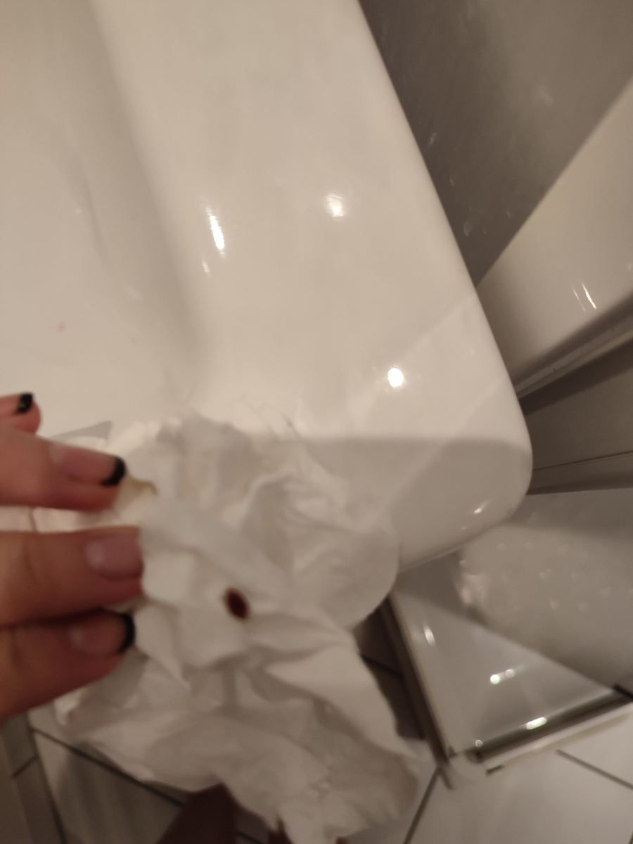普瑞米尔奥利伦吉经典酒店-旅行者