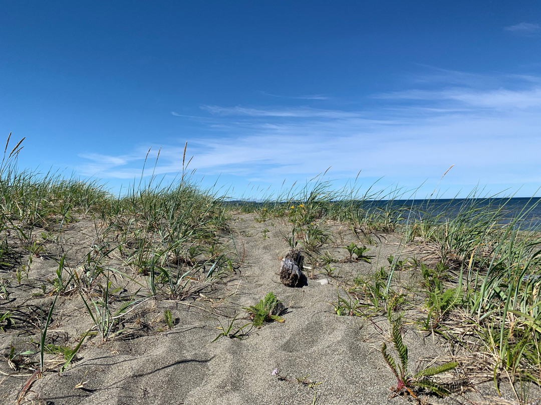 Andrews Place Road Trail