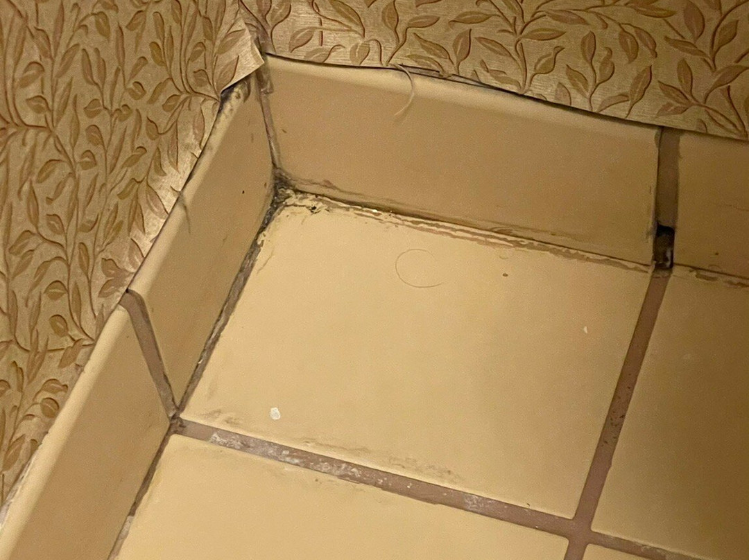 Homewood Suites by Hilton Richmond-Chester主图