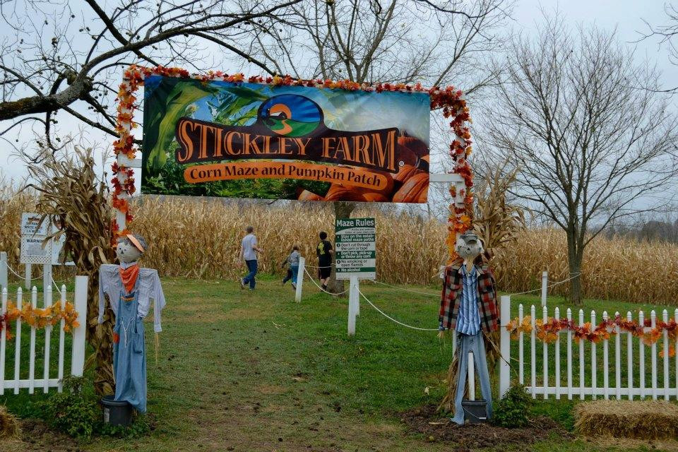 The Stickley Farm-Bluff City必去景点