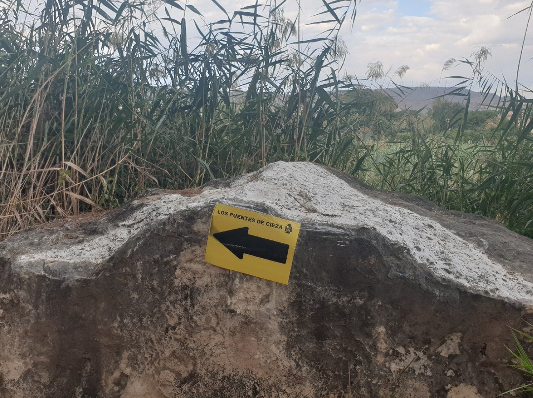 Bosque Mediterráneo