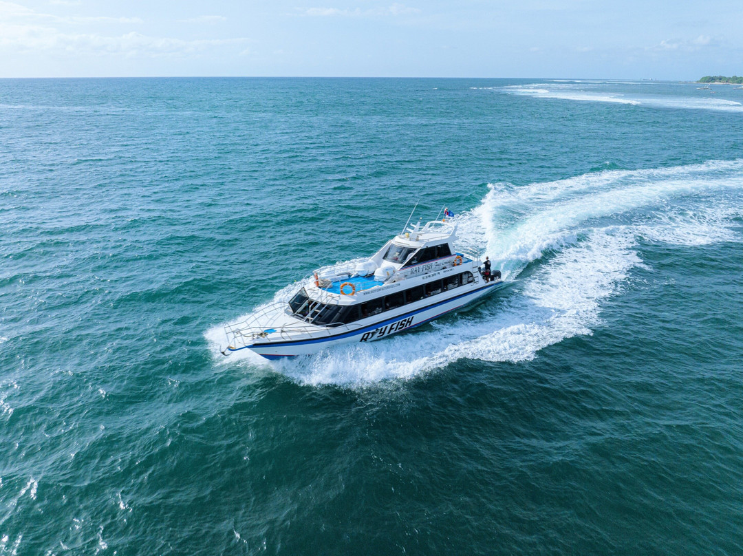 Ray Fish Fast Cruises