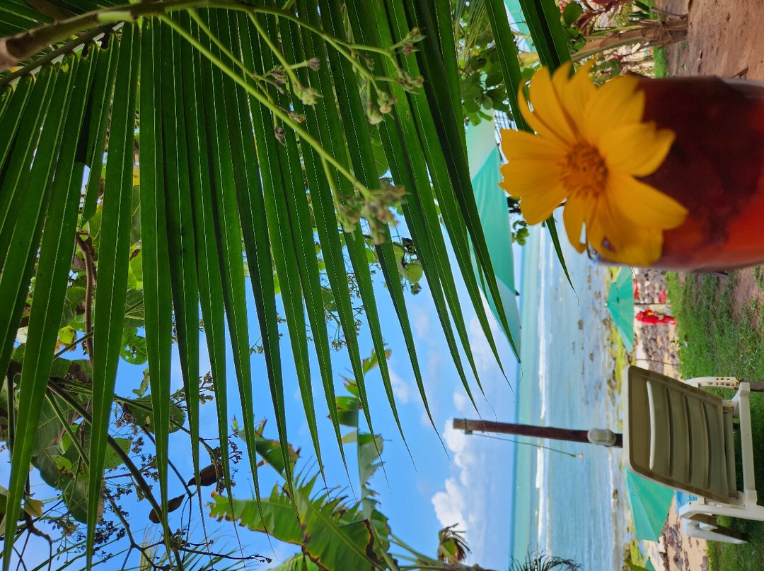 Piparidise Beach Bar