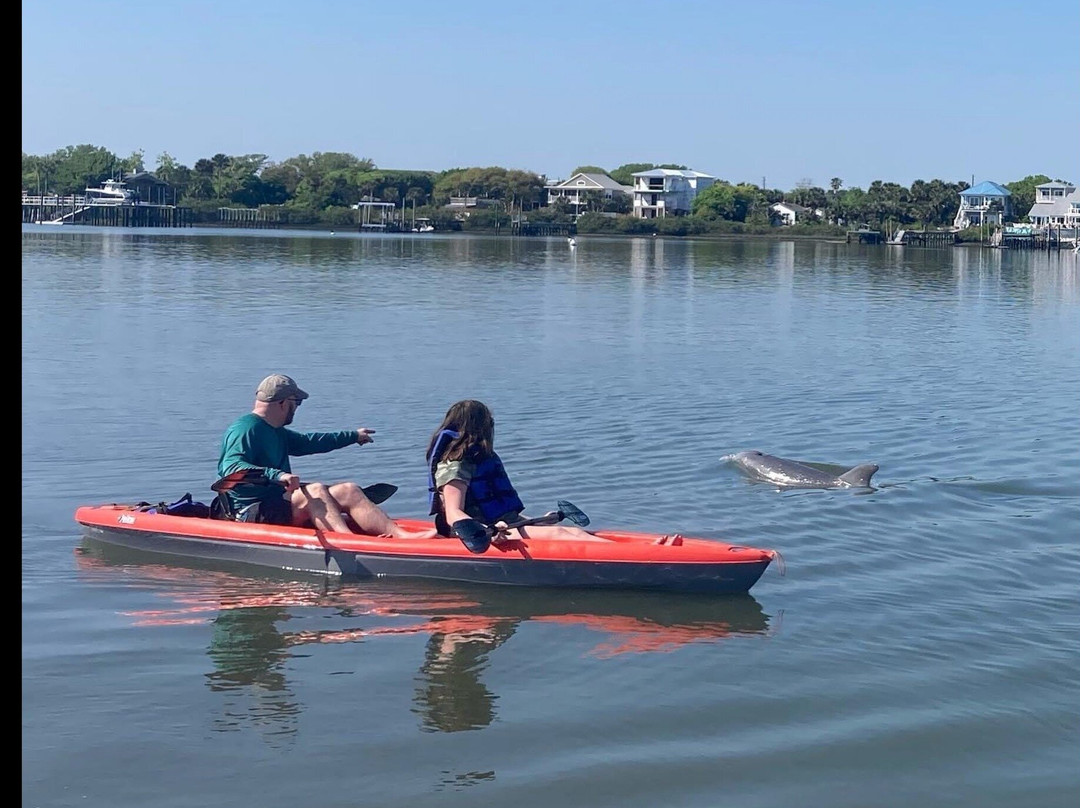 Dolphin and Manatee Adventure Tour of Osprey area with Olde Florida History景点图片