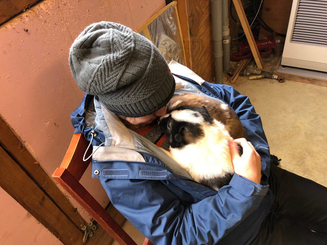 YoopAK Kennel and Tours-Nenana必去景点