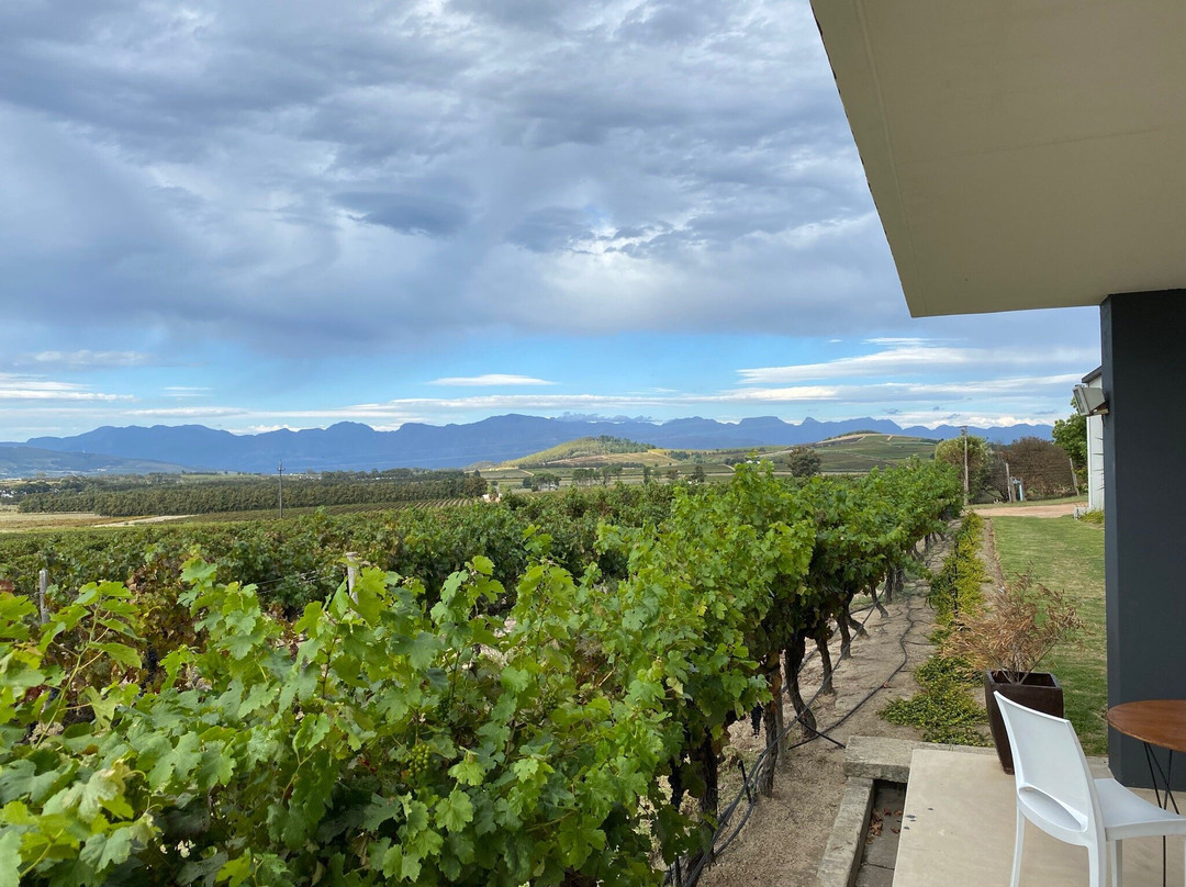 Arra Vineyards-Klapmuts必去景点