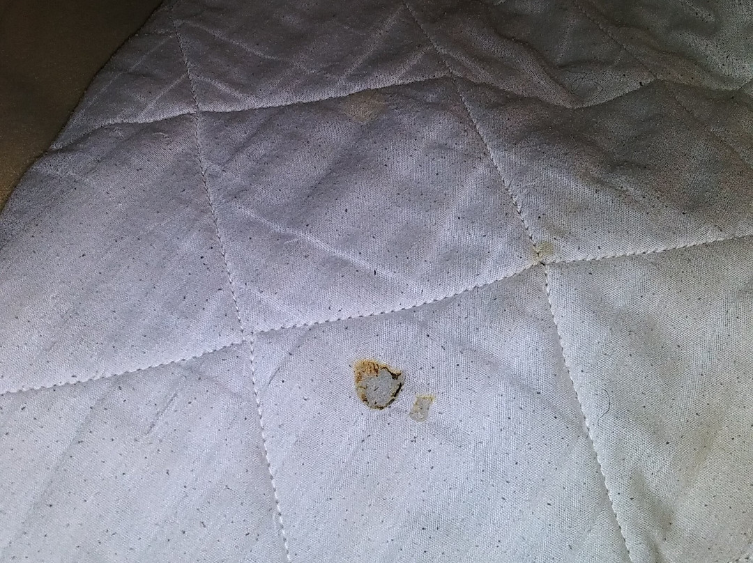 Dell Creek Motel主图