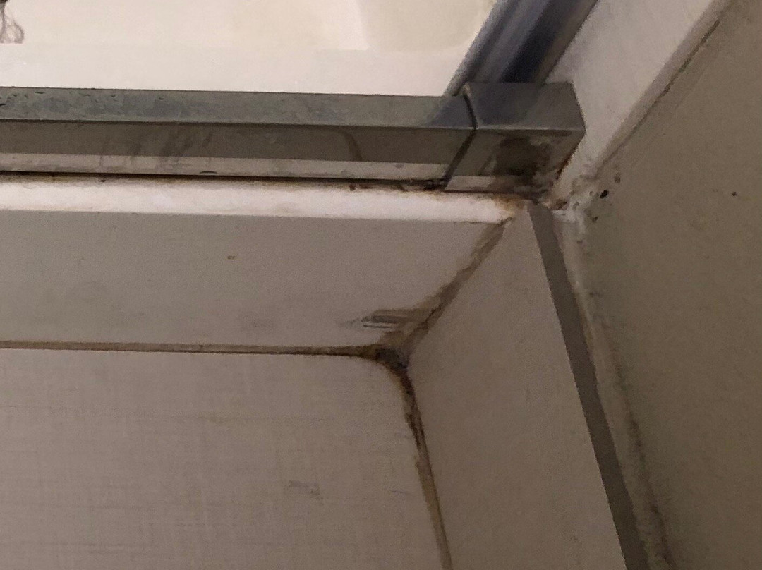 SpringHill Suites by Marriott Sarasota Bradenton主图