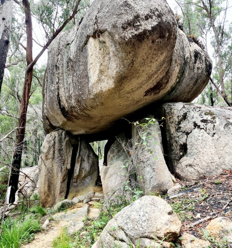Bald Rock National Park-坦特菲尔德必去景点