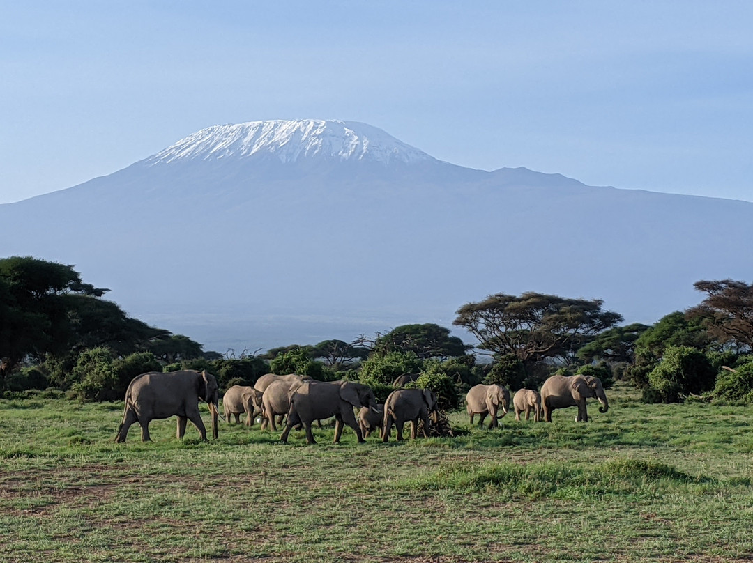 Woodpecker East Africa Safaris-内罗毕必去景点