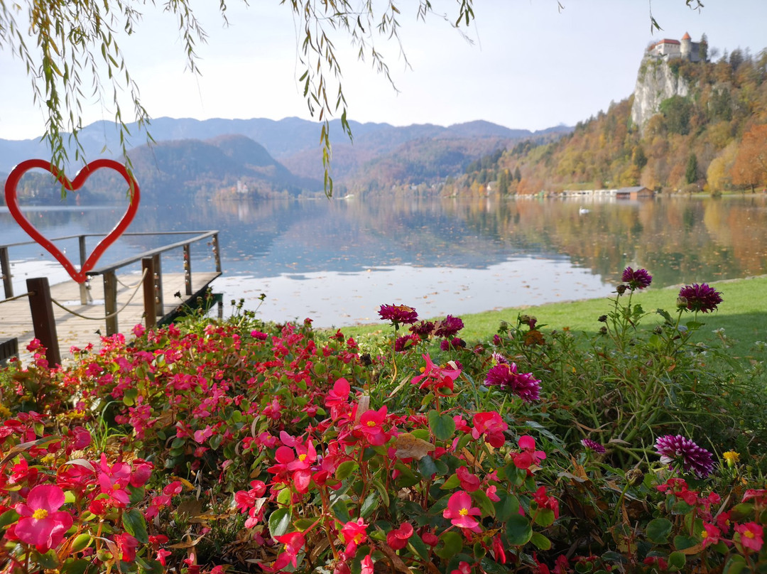 Heart of Bled-布莱德必去景点