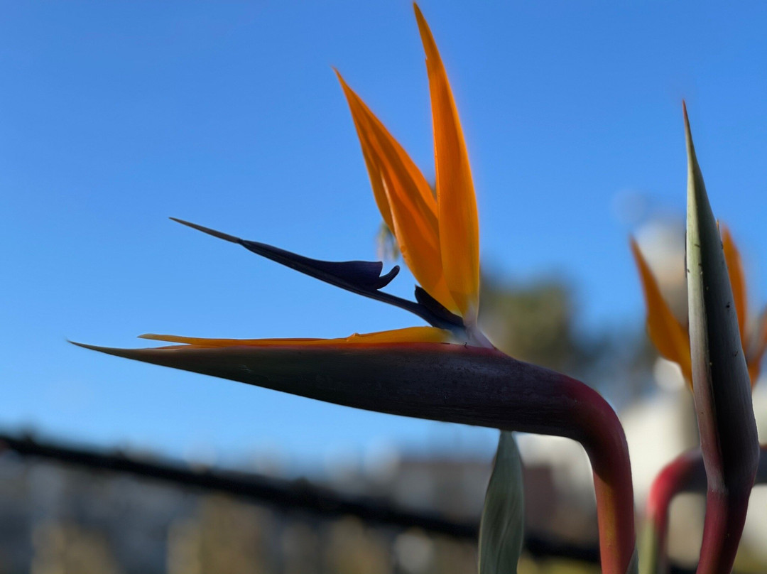 Tongva Park-圣莫尼卡必去景点