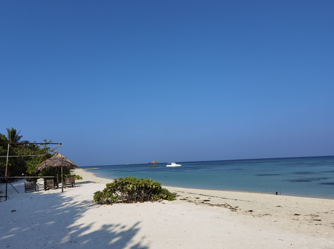 Jail Break Surf Inn主图