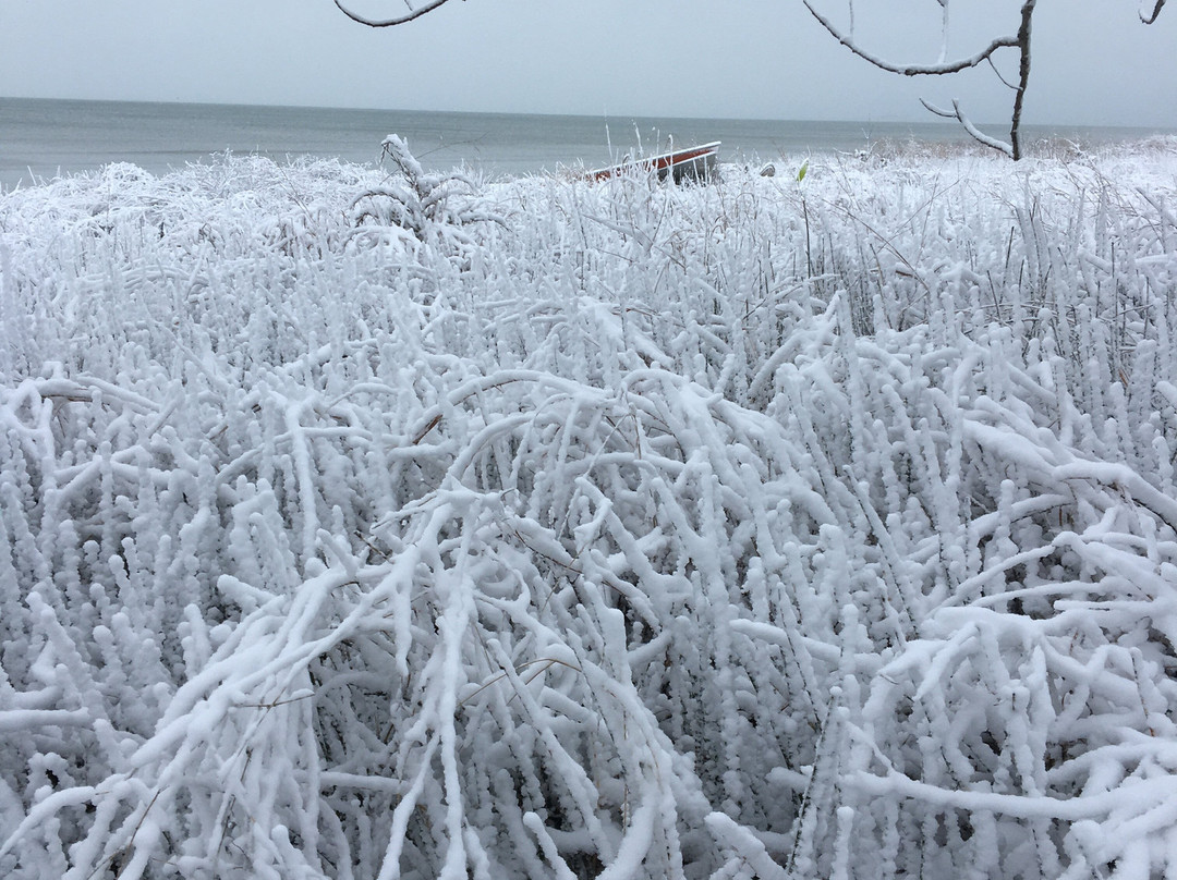 Bye the Bay Bed and Breakfast主图