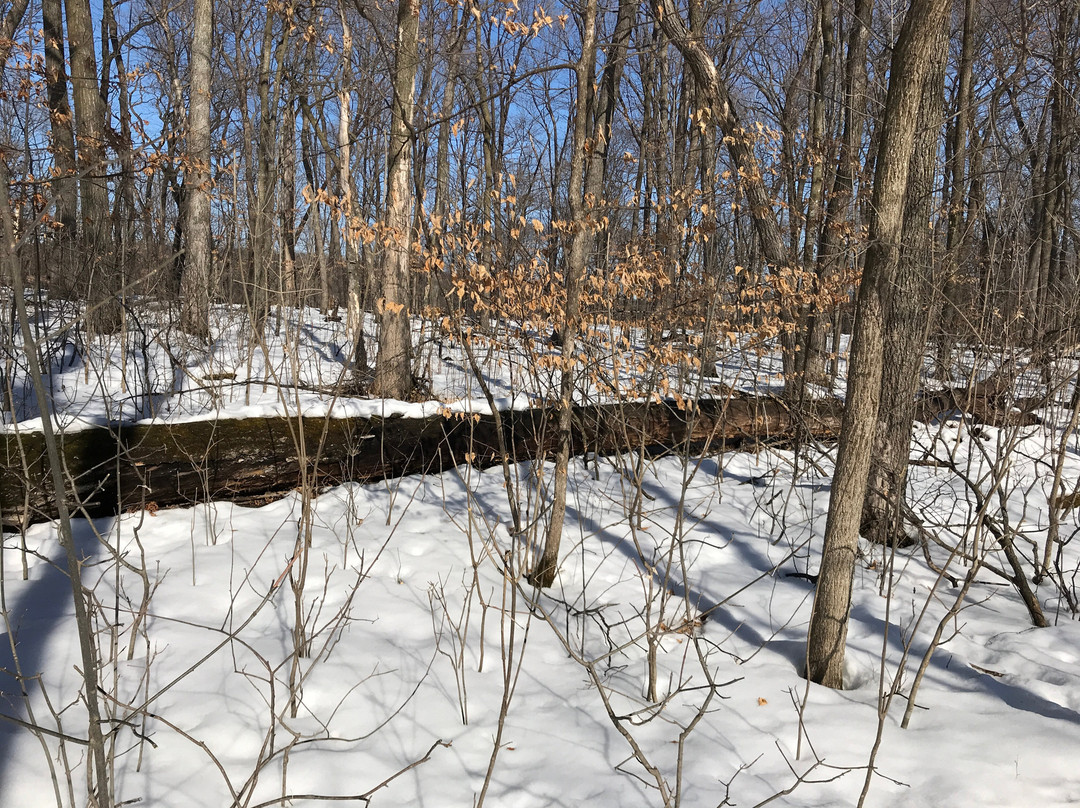 Nerstrand Big Woods State Park-Nerstrand必去景点