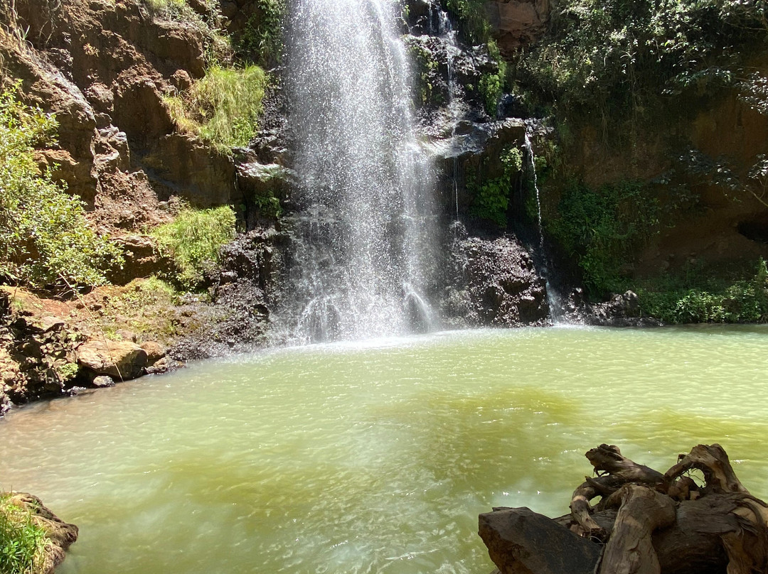 Ngare Ndare Forest Reserve-Meru Town必去景点
