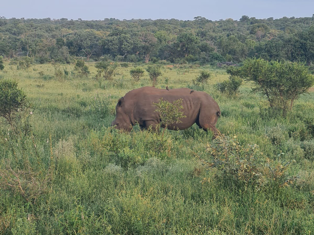 Crossroads Safaris & Tours-克鲁格国家公园必去景点