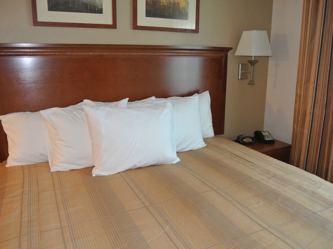 TownePlace Suites by Marriott Birmingham South主图