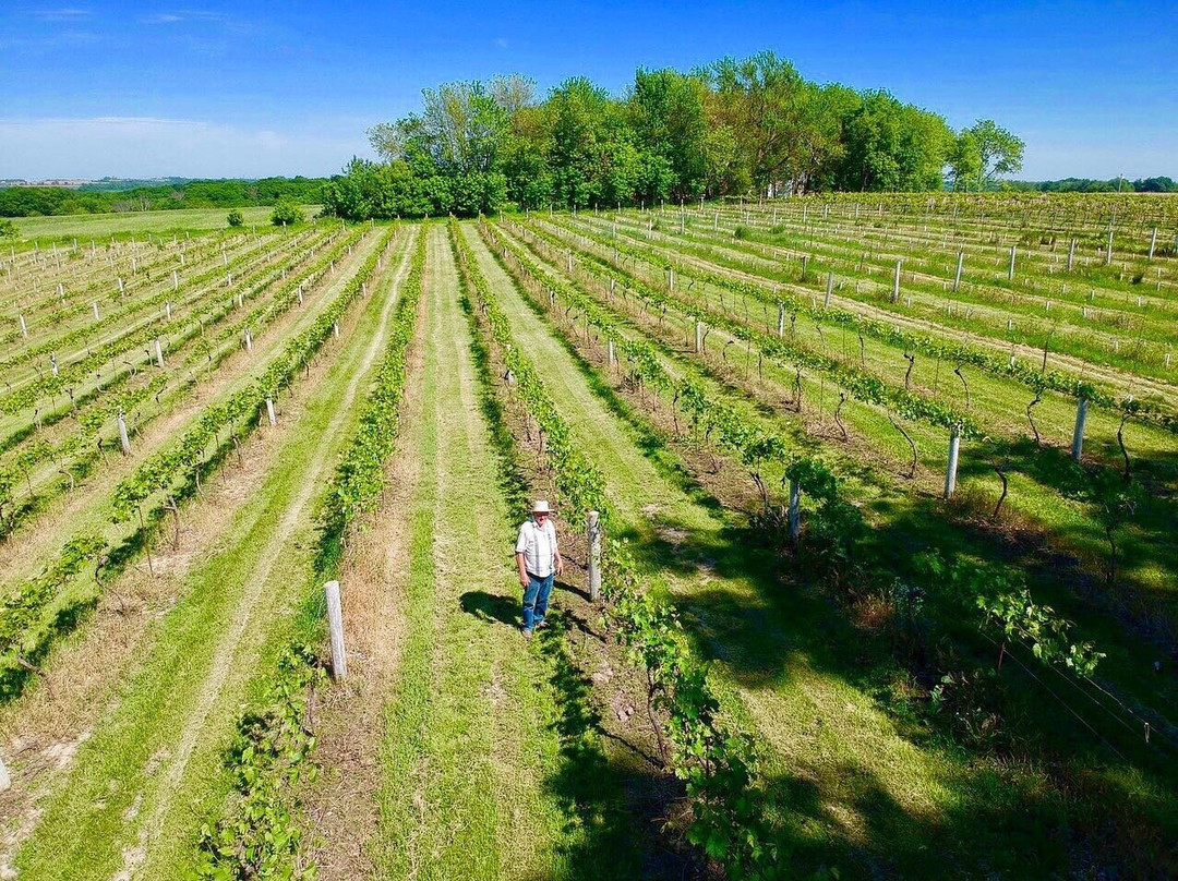 Winneshiek Wildberry Winery景点图片